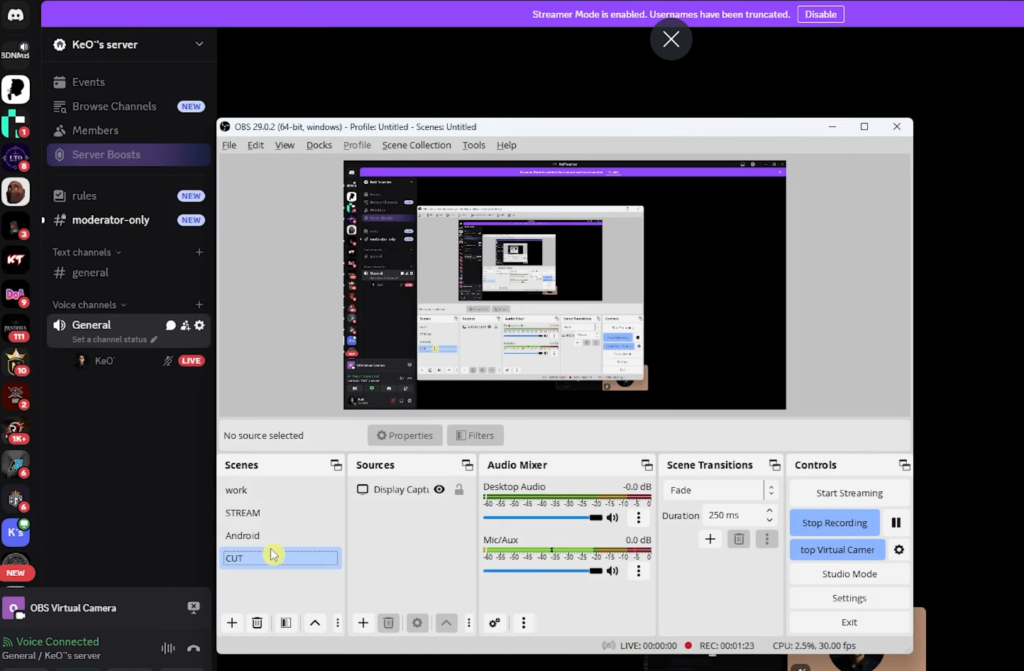 How To Stream Obs To Discord 